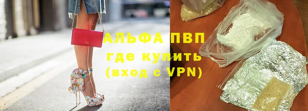 гашик Белокуриха