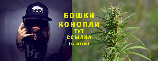 гашик Белокуриха