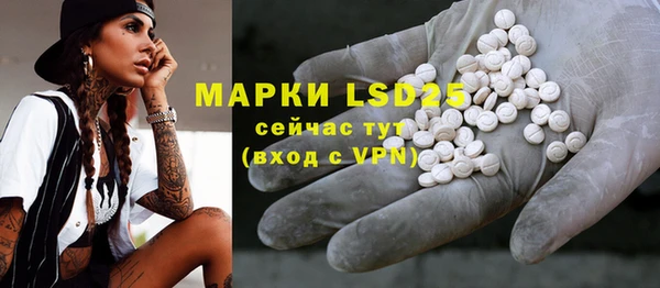 гашик Белокуриха