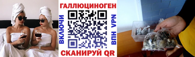 Псилоцибиновые грибы GOLDEN TEACHER наркота Малая Вишера